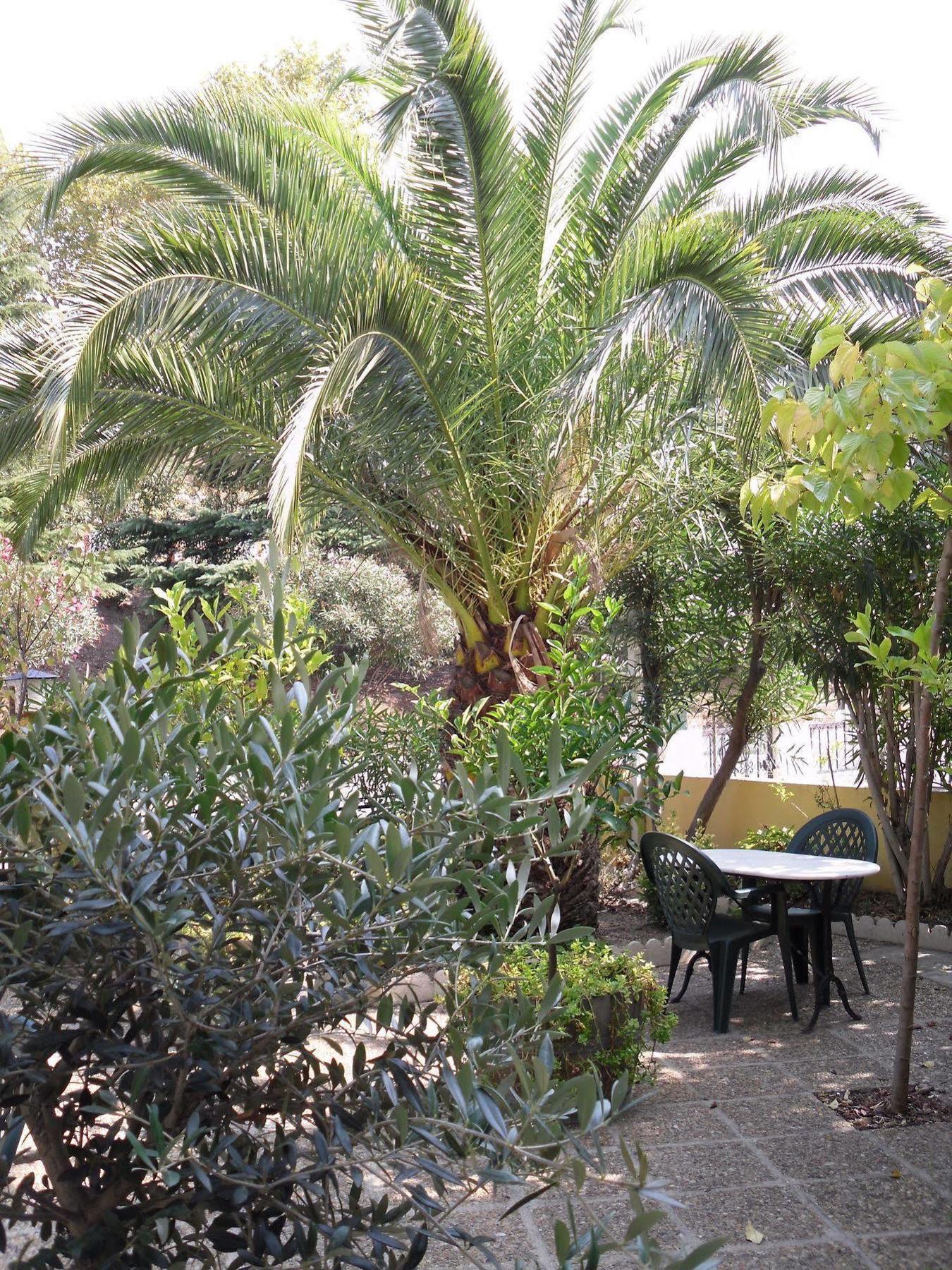 Hotel Le Nid Argeles-sur-Mer